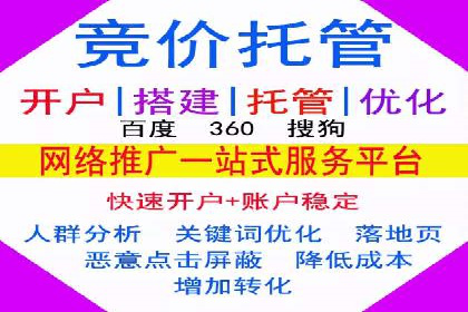 SEM代理服务：案例对比，效果哪家更胜一筹